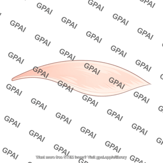 Skin sheet