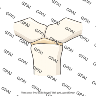 Sternomanubrial joint