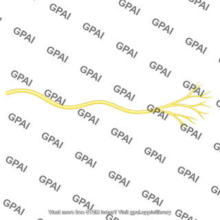 Peripheral nerve
