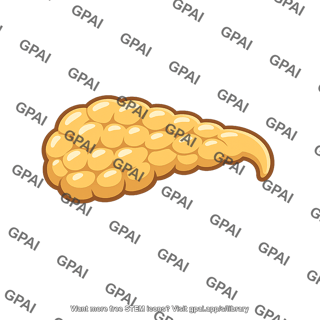 Pancreas ventral