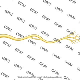 Lingual nerve