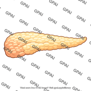 Pancreas