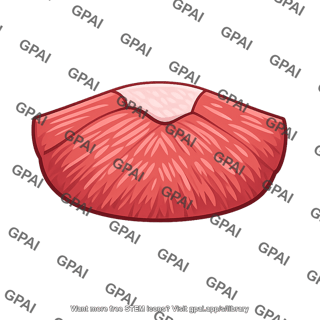 Raw meat steak