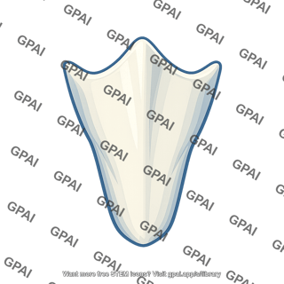 Laryngeal prominence