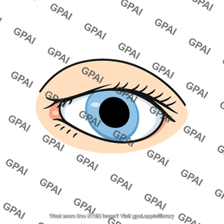 Human eye