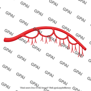 Jejunal artery