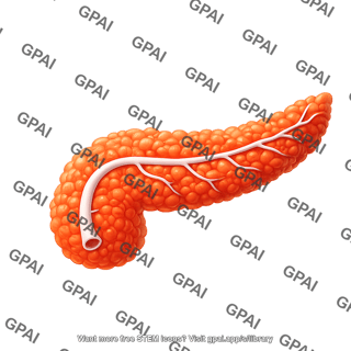Pancreas
