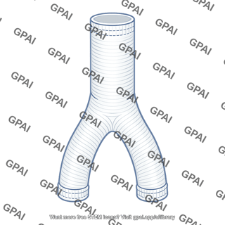 Bifurcated aortic graft