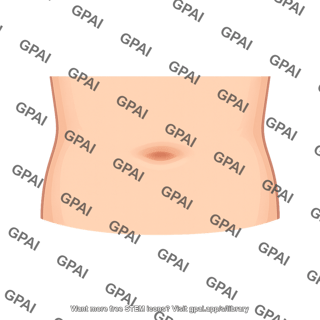 Human abdomen with navel