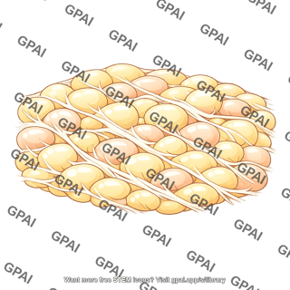 Subcutaneous tissue