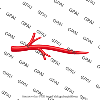 Artery branch