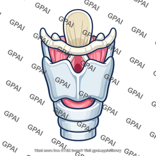 Larynx