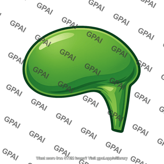 Gallbladder fundus