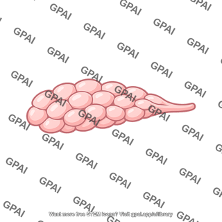 Lacrimal gland palpebral part