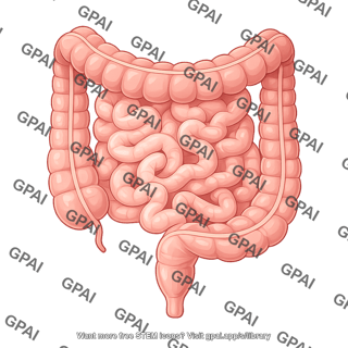 Intestines hirshsprung