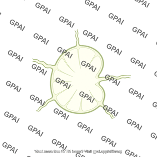 Lymph node cut blank