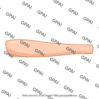 Skin of lateral side of forearm