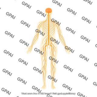 Nervous system