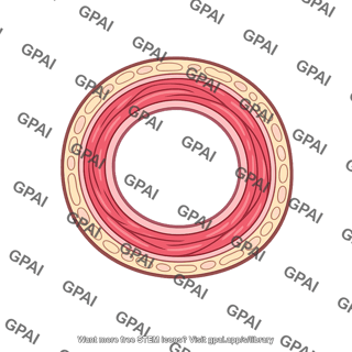 Respiratory wall