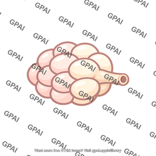 Mucous gland