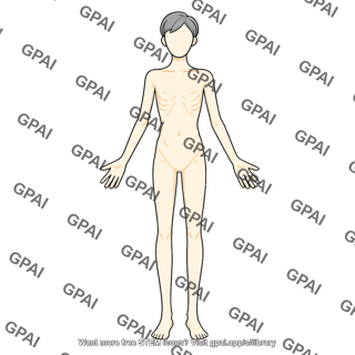 Adult 6 gender neutral underweight anterior 671