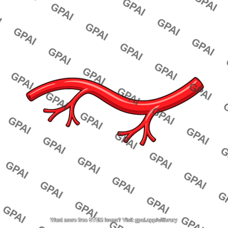 Branching artery