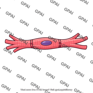 Cardiac cell