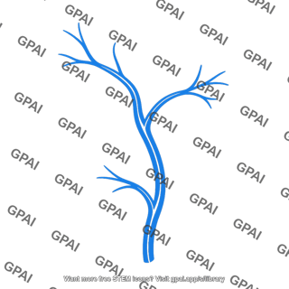 Branching vein