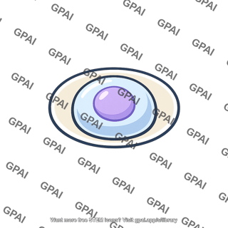 Chondrocyte