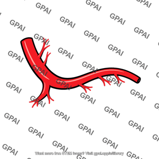 Left gastric artery