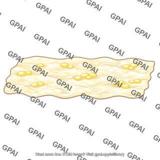 Superficial fascia