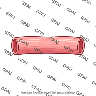 Muscular tube segment