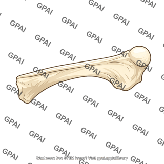 Long bone