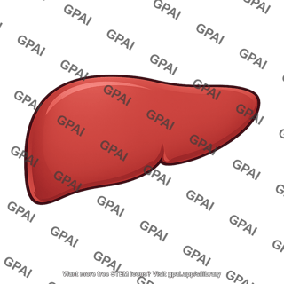 Right lobe of liver