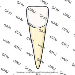 Incisor tooth