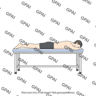 Adult prone gender neutral lateral silhouette lying on exam table