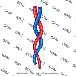 Intertwined tubes