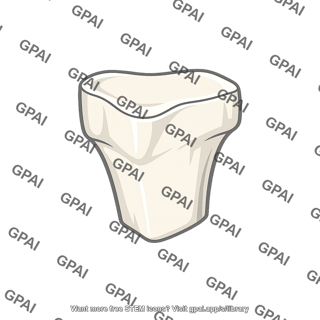 Tooth