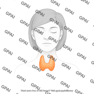 Thyroid female