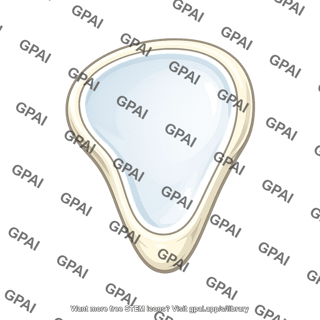 Glenoid cavity isolated