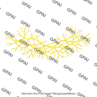 Superior dental plexus
