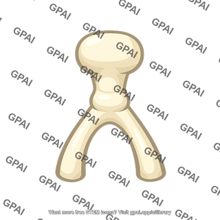 Stapes bone