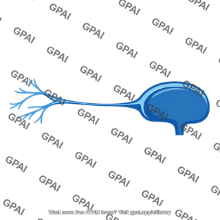 Neuron