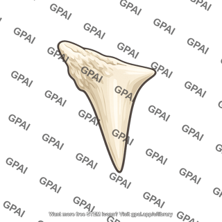 Tooth