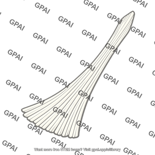 Digital band of plantar aponeurosis