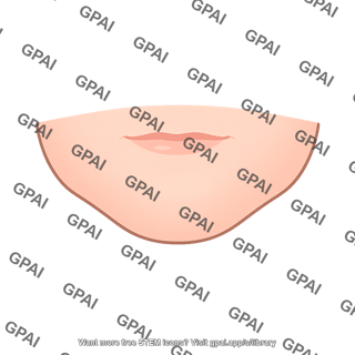 Skin of lower face