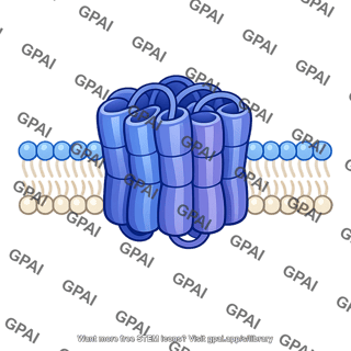 Transmembrane protein
