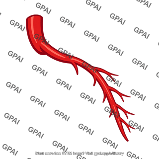 Left marginal artery