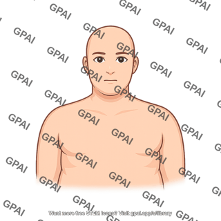 Adult 7 head gender neutral stage i obesity anterior
