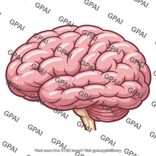 Human brain
